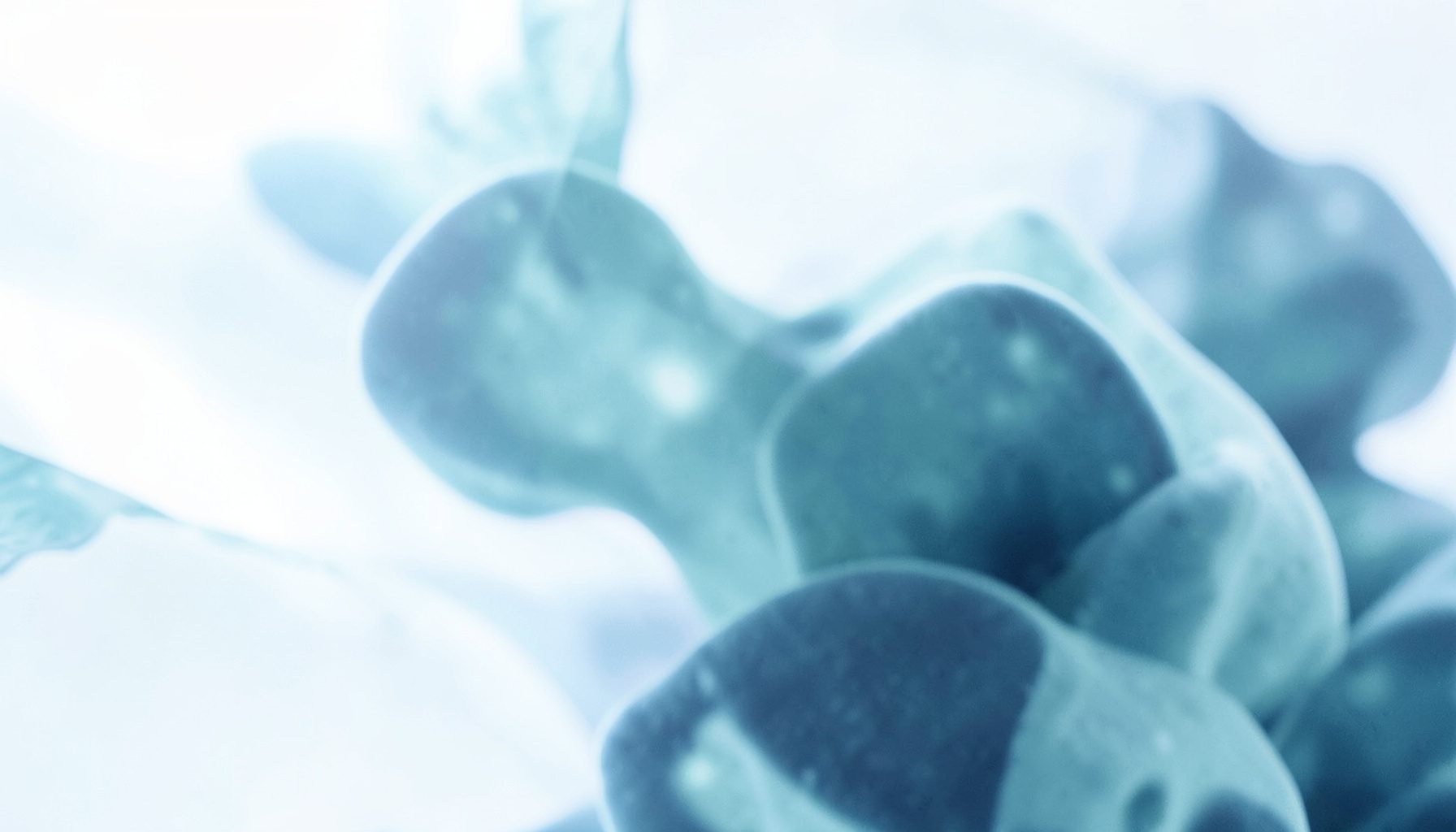 Soft abstract organic forms in muted teal and navy tones, suggesting fluid movement and biological textures